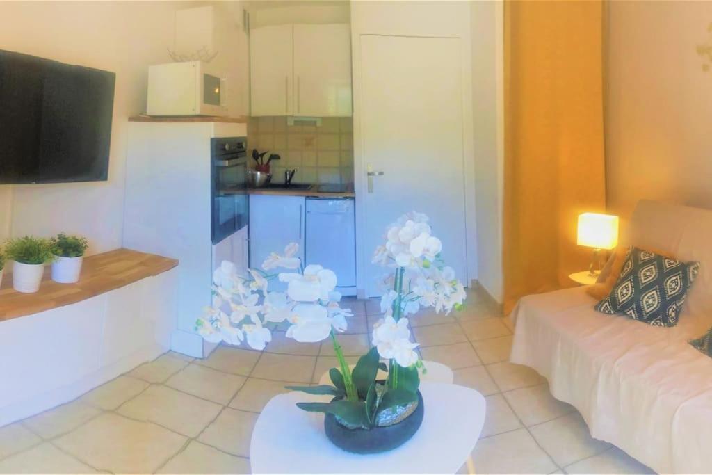 Studio Cabine Climatise 800 M De La Plage Et Des Commerces Bormes-les-Mimosas Extérieur photo